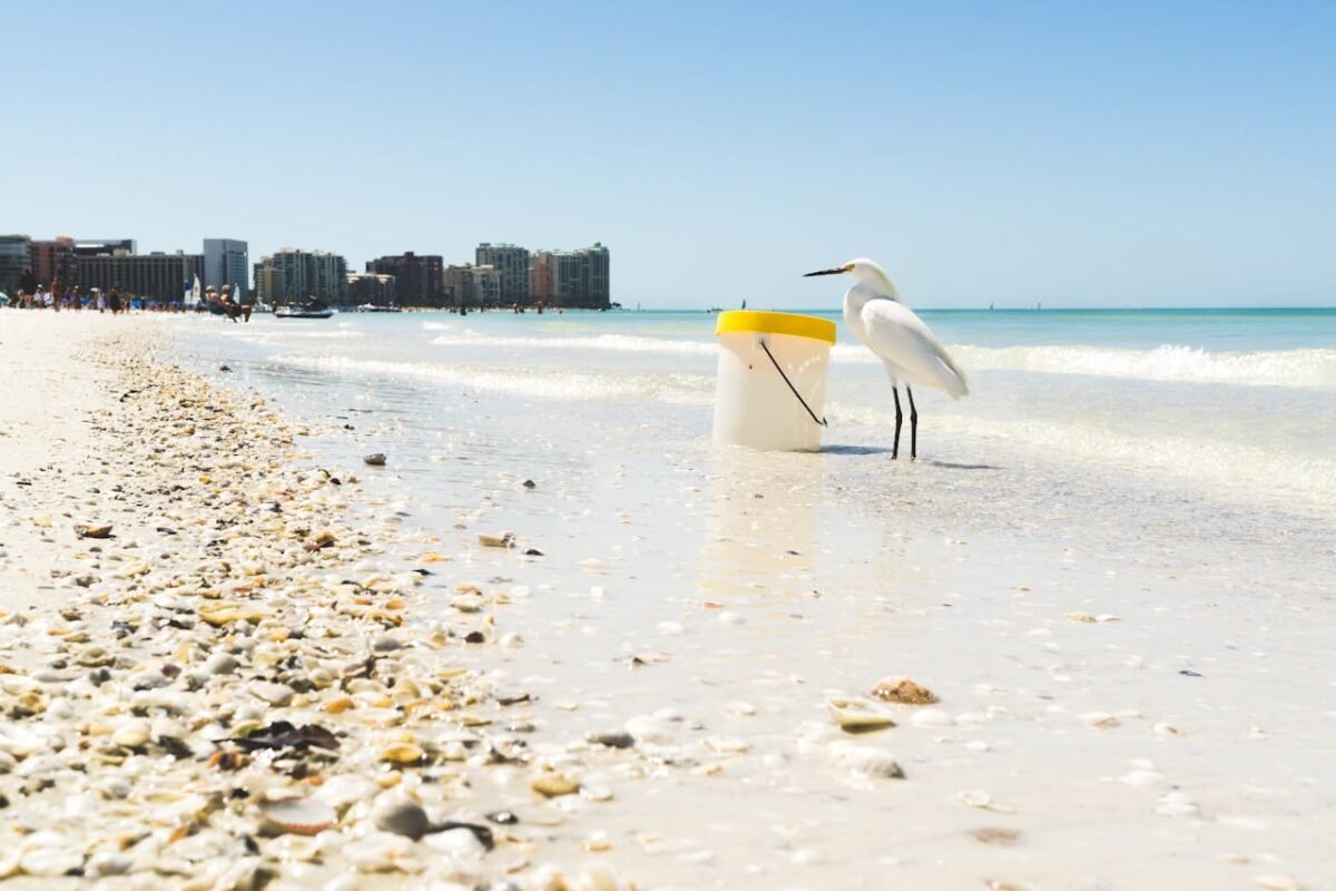 A serene scene of an egret beside a bucket on Marco Island beach, Florida.
