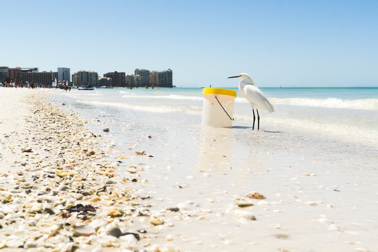 A serene scene of an egret beside a bucket on Marco Island beach, Florida.